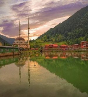 НЕТРОНУТАЯ ПРИРОДА