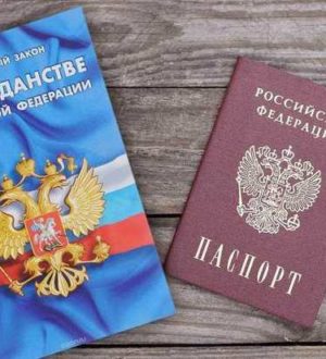 Новый закон о гражданстве «завис» в Госдуме: подгоняют под изменившуюся ситуацию