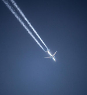 Самолет Airbus A340, летевший в Москву, вернулся в Баку по технической причине