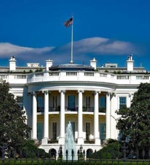 Politico: США подтолкнули Зеленского к началу переговоров с Россией