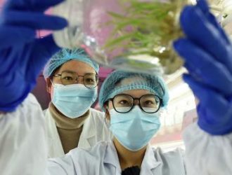 Открытие китайских ученых поможет вырастить супермена, вылечить склероз и накормить всех