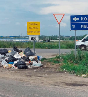 Мусорящих водителей будут штрафовать по камерам: когда система заработает