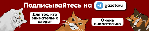 Что смотреть в кино: триллер с Борисовым, возвращение Джонни Деппа и еще 6 премьер июля Что смотреть в кино: триллер с Борисовым, возвращение Джонни Деппа и еще 6 премьер июля