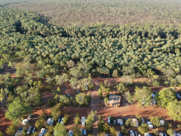 Кто такие седые странники Австралии Кто такие седые странники Австралии