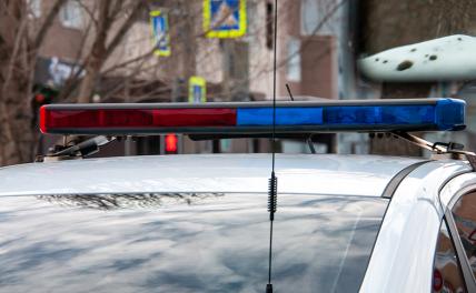 Полиция начала проверку после дебоша, устроенного актером Кологривым в Новосибирске Полиция начала проверку после дебоша, устроенного актером Кологривым в Новосибирске