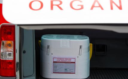 На Украине задержали врачей, которые продавали органы за границу На Украине задержали врачей, которые продавали органы за границу