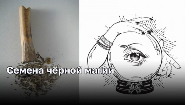 Загадочное вещество: открытие археологов в Нидерландах Загадочное вещество: открытие археологов в Нидерландах