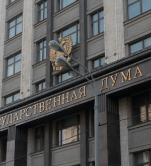 Депутаты предложили  депортировать иностранных граждан из России за участие в предвыборной агитации