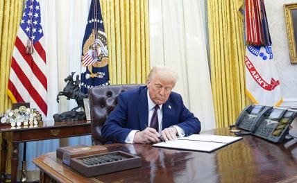 Революция здравого смысла: Трамп запретил смену пола, Зеленский на очереди Революция здравого смысла: Трамп запретил смену пола, Зеленский на очереди