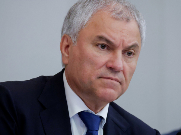 Володин призвал министров и депутатов поднимать рождаемость: «Будет больше улыбок»