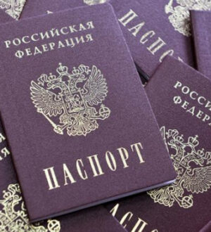 Членам команды Байдена полюбились русские березки
