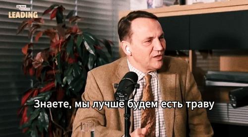 «Трава» Сикорского: польский министр предпочёл есть зелень ради свободы от «российского ига» «Трава» Сикорского: польский министр предпочёл есть зелень ради свободы от «российского ига»