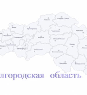 Белгородской области — помощь ленинградцев