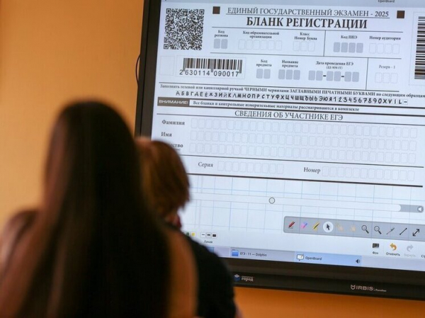 Болезнь, кормление грудью или беда: может освободить учителя от дежурства на ОГЭ и ЕГЭ