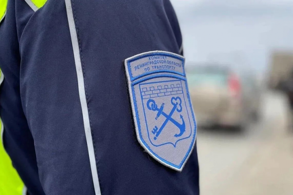 В Ленобласти проверили работу общественного транспорта и такси В Ленобласти проверили работу общественного транспорта и такси