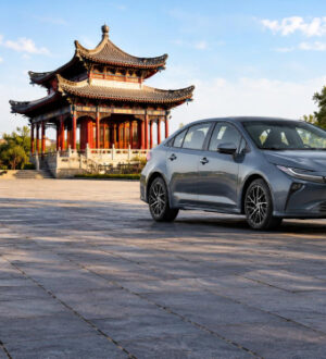 Дилеры привезли в Россию «льготные» Toyota, Kia и VW. Модели и цены