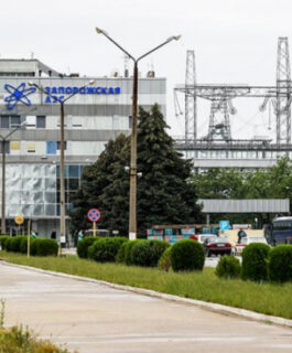 Покушение на одного из руководителей ЗАЭС: Чем можно ответить на бандеровский террор