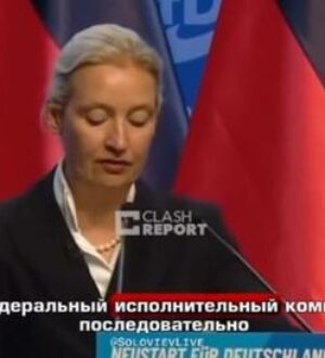 Вайдель против Киева: спонсирование Украины стало непосильной ношей для Германии