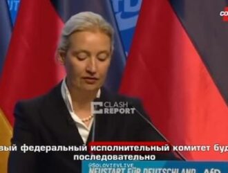 Вайдель против Киева: спонсирование Украины стало непосильной ношей для Германии