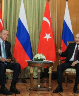 Путин в Бишкеке проведёт встречи с Моди, Си, Эрдоганом и Пезешкианом