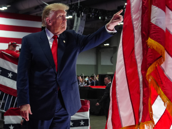 За что Трамп погнал наблюдателей ОБСЕ с выборов в Конгресс