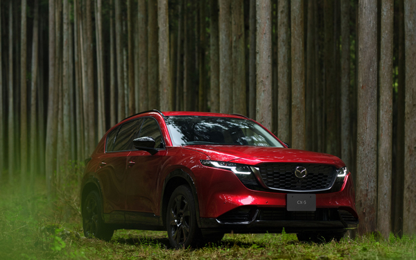 
            Mazda CX-5 и еще пять доступных кроссоверов для любителей олдскула
        